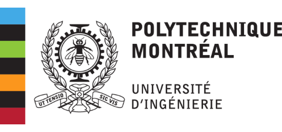 FLEX_SNG_PARTNERS_LOGO_polytechnique_montreal