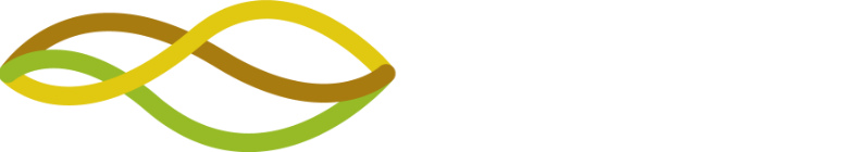 FLEX_SNG_website_logo